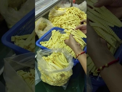 Anillos O de caucho de silicona personalizados para temperaturas extremas (-30.C ~ 230.C)